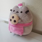 Christmas Santa Hat Pusheen With Cookie And Apron Cat Plush