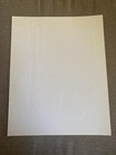 The Shins Press Photo 8x10  James Mercer  Jesse Sandoval  See Description 