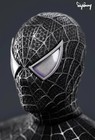 Toystay  1 6  Black Suit Spiderman Head-sculpt Authentic   Us Seller
