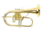 Conn Vintage 1fg Professional Flugelhorn - Brand New - Demo Model