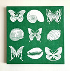 Vintageart 1970s Framed Marushka Silk Screen Print Of  butterflies   Seashells 