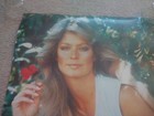 Vintage 1977 Farrah Fawcett Pro Arts 14-509 Poster 20  X 28  Original Owner