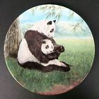 Mib Secret World Of The Panda Baby Cub A Gentle Hug Collector Plate Bradford Coa