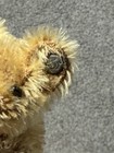Rare Color Sweet Early Antique C 1900s Steiff Mini Bear 3 5    Long F Button