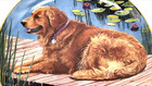 Dockside Retriever Plate Golden Retriever Collection By Patricia Bourque  a9426