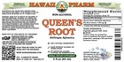 Queen s Root  stillingia Sylvatica  Dried Root Liquid Herbal Extract