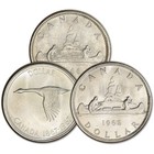 Canada Silver Dollar  1 - 0 6 Oz - 100 Bu Coins In 5 Rolls Tubes Random Date
