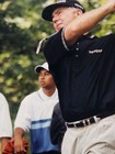 Mark O meara Action  Tiger Woods Background 8x10 Orig Type 1 Photo Read  Descrip