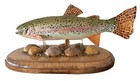 Rainbow Trout Wood Fish Carving  Hand Carved And Painted  Aquatic Animal