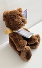 Russ Berrie Shining Stars Brown Bear Plush Stuffed Animal Sealed Code New
