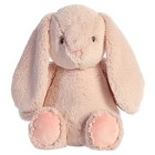 Aurora Ebba Dewey Rose Rabbit Baby 12 5 Inch Plush Stuffed Animal