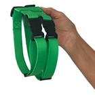 Pig Harness Heavy Duty Plastic Buckle All Sizes Alabama Handmade