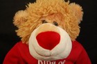 Valentine King Of Hearts Lion Red Hoodie Plush Dan Dee 12  Sitting Toy Romance