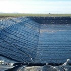 Farm Plastic Supply - Weed Control 6 Mil Black white Polyethylene Sheeting