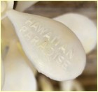 Vintage Stamped 1961 Plastic Flower Lei - White yellow - Tiki - Hawaiian