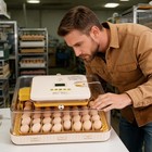 12 70 Egg Digital Incubator Chicken Temperature Control Fully Automatic Turning
