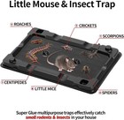 Heavy Duty Sticky Glue Traps For Mice   Insects Easy Set Pet Friendly 12 Pack