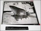 1975 Beniamino Bufano Bear Sculpture Photo Negative San Francisco Bay Area