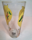 Robin The Boy Wonder 1976 Vintage Drinking Glass Pepsi Super Series  Dc Comics
