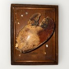 Antique Giant Lobster Claw Taxidermy Nautical Coastal Decor Vintage Wood Plaque