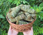 Cedar Sage Smudge Stick   Wand 3-4  House Cleansing Remove Negativity Ceremonial