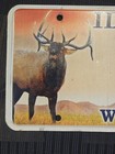 Idaho Wildlife Specialty License Plate - Elk Graphic  ck2e