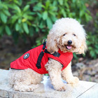 Dog Winter Jacket With Built-in Harness  Waterproof Windproof Cold Weather Coat