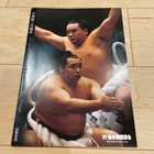 Sumo Wrestling Official Tournament Program Pamphlet 2015 Japan Rare Book