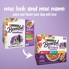 Purina Beneful Kitchen Creations With Beef Wet Dog Food Variety Pack 12 Pack
