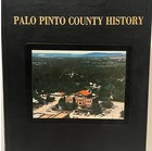 1986 1st Ed Palo Pinto County History Texas Genealogy Mineral Wells Baker Book