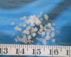   Fish Scales    micro    100    Natural White   Ivory   Sailor s Valentines  