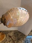 Antique Vintage Gooseneck Lamp Sea Shell Shade Industrial Art Deco