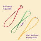 Stretchy Whelping Collars For Kittens And Small Puppies  15 Colors 60pcs Asso   