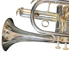 Yamaha Ycr-6330s Cornet Professional Model Used With Hard Case Mouthpiece