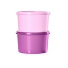Tupperware 4pc  set Of 2  Heritage Mini Food Storage Canisters