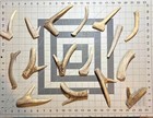 Three Pack Of Small Natural Deer Antler Dog Chews   big_buck_bites_llc  