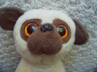 Ty Rufus Pug Dog Puppy Big Eyes 6  Tall Seated 2016