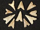 Big Lot Of Ten  Ancient 3 000 To 8 000 Year Old Tidikelt Arrowheads 9 17