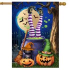 Briarwood Lane Witches Brew House Flag 28x40