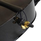 High Quality Professional 4 4 Full Size Basswood Cello Set School Band Black