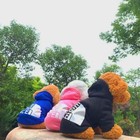 Dog Winter Hoodie  The Dog Face Coat Warm Dog Vest For Small Medium Large Dog