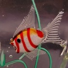 Fratelli Toso Murano Vintage 7  Glass Aquarium 2 Fish Excellent Condition