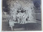 Antique Glass Plate Photo Negative - Portrait Of A Couple Under A Foliage Arch