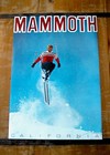 10 Vintage original Ski Posters  Sun Valley   Mammoth Mountain   Alta    More 