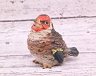 Super Cute Antique Austrian Vienna Cold Painted Bronze Figure Of Goldfinch