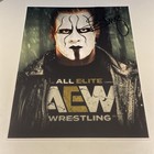 Wwe Championship Sting Signed 11x9 Photo W coa Autograph Wcw aew New