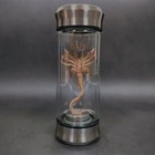 Facehugger Embryo Jar  Glowing Alien Specimen Sculpture   Xenomorph Glow Jar