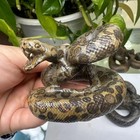 1pc Natural Leopard Skin Stone Quartz Carved Snake Skull Crystal Reiki Decor