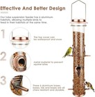 Bird Feeders For Outdoors  brushed Metal Copper  Squirrel Proof Hanging Bird Fee