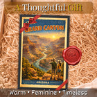 Grand Canyon Arizona Framed Travel Poster 11x17 Vintage Retro Wall Art Gift